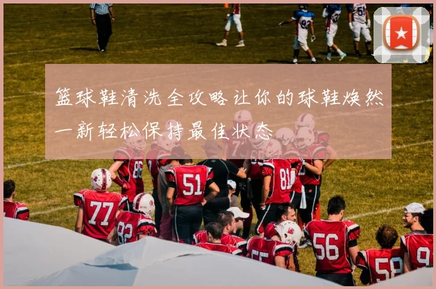 篮球鞋清洗全攻略让你的球鞋焕然一新轻松保持最佳状态