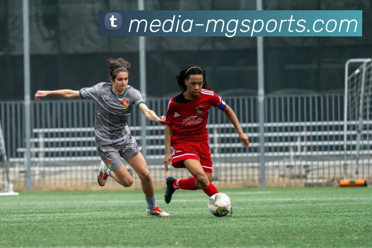 满贯体育中国品牌故事